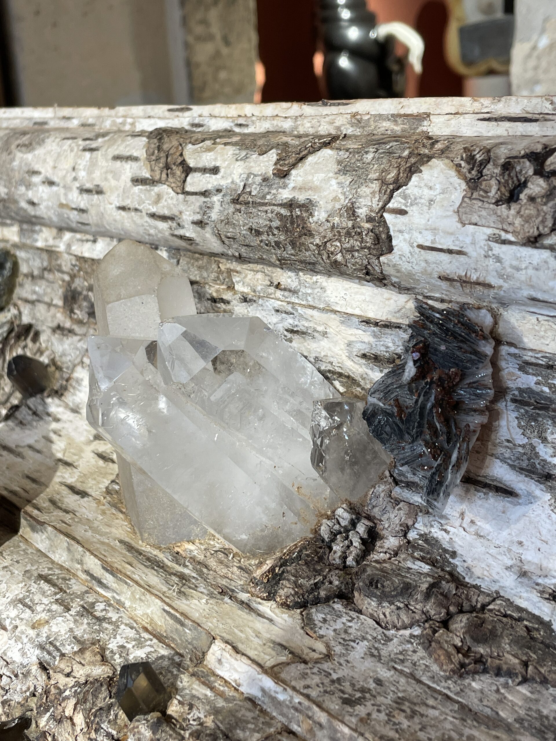 GRAND MIROIR DE STYLE LOUIS XIV RECOUVERT D’ECORCE DE BOULEAU ET INCRUSTATIONS DE MINÉRAUX