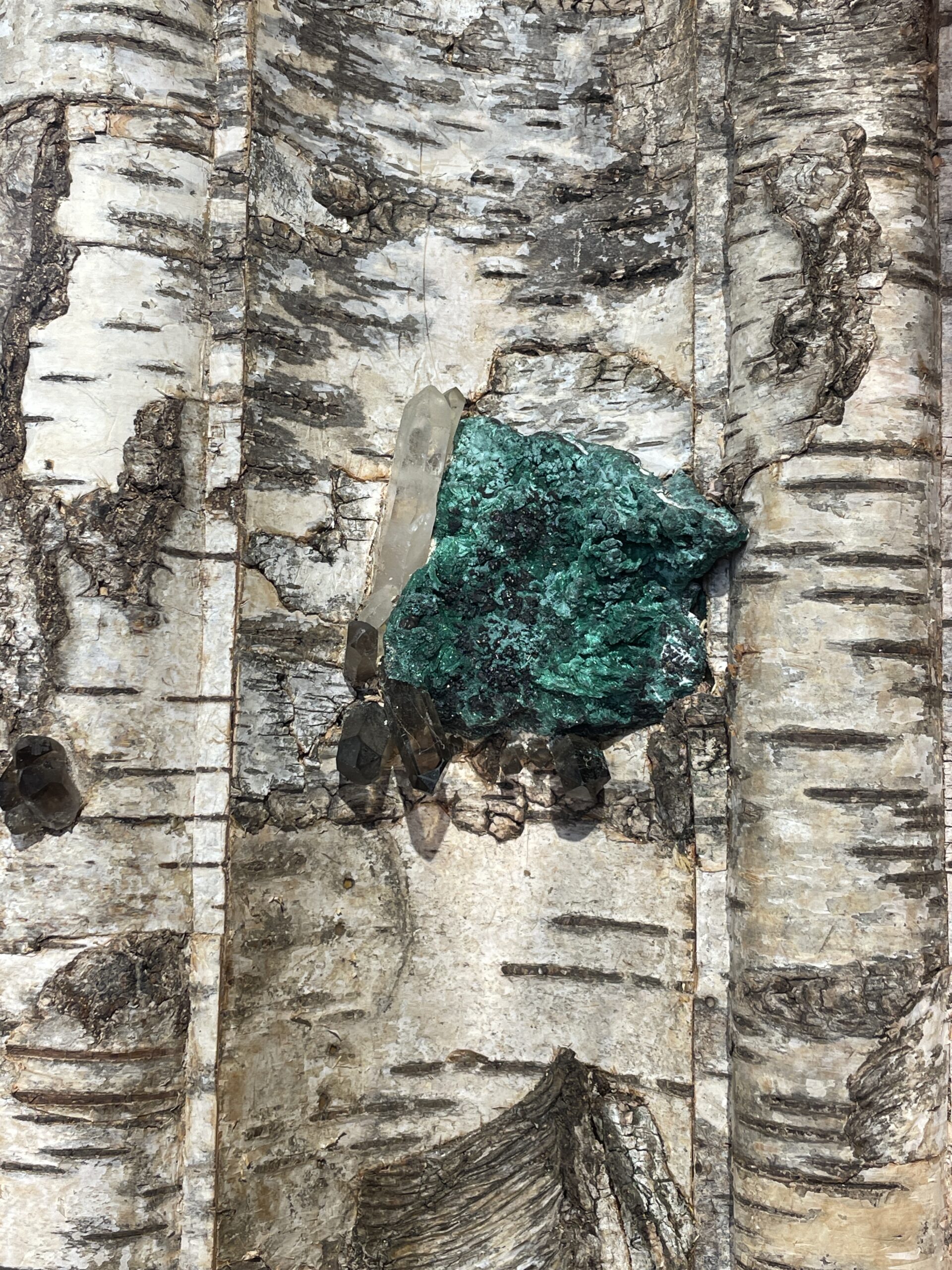 GRAND MIROIR DE STYLE LOUIS XIV RECOUVERT D’ECORCE DE BOULEAU ET INCRUSTATIONS DE MINÉRAUX