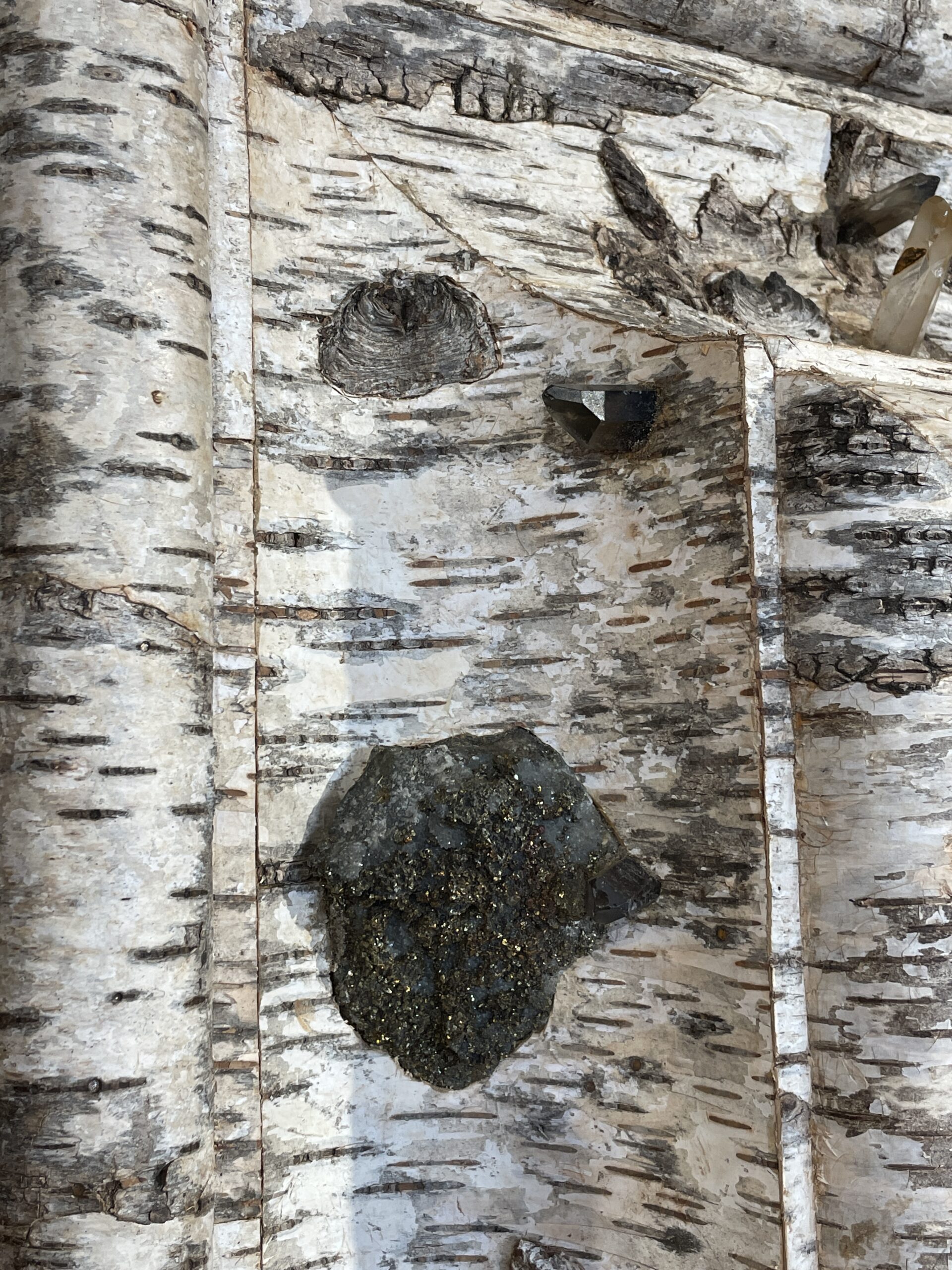 GRAND MIROIR DE STYLE LOUIS XIV RECOUVERT D’ECORCE DE BOULEAU ET INCRUSTATIONS DE MINÉRAUX